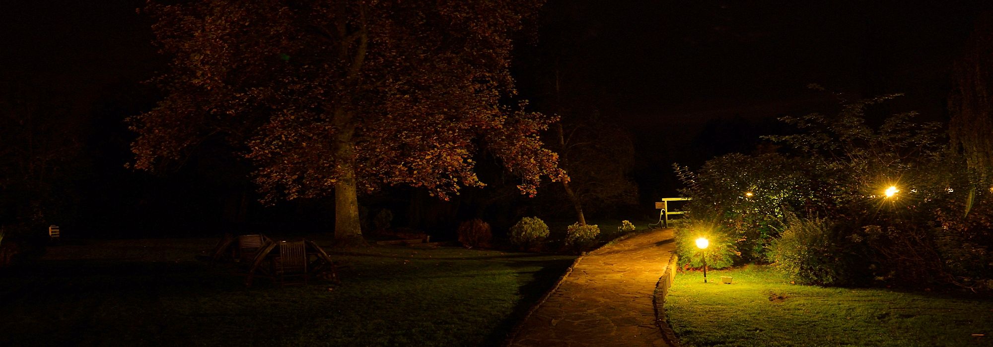 accueil_08_parc_nuit.jpg